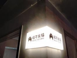 瑞可(kě)龍貓